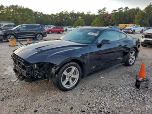 2021 FORD ALL Models