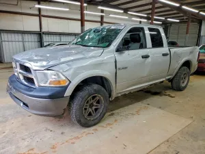 2010 DODGE All Models