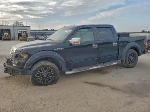 2009 FORD F-150