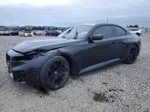 2024 BMW MOTORRAD M2