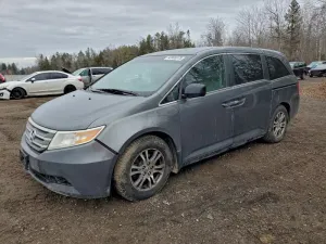 2011 HONDA All Models