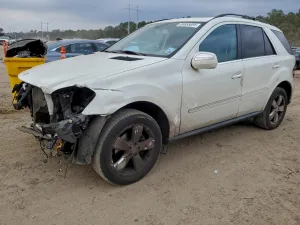2010 MERCEDES-BENZ M-CLASS