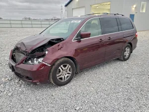 2007 HONDA All Models