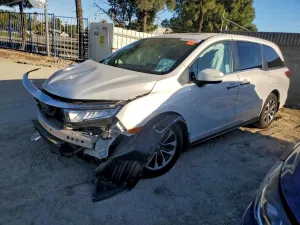 2023 HONDA All Models