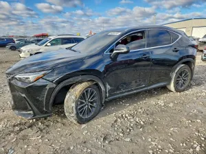 2024 LEXUS NX 350 PRE