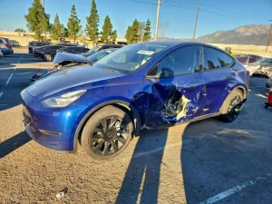 2021 TESLA MODEL Y