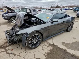 2015 FORD ALL Models