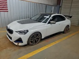 2022 BMW MOTORRAD M2