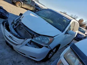 2010 HONDA All Models