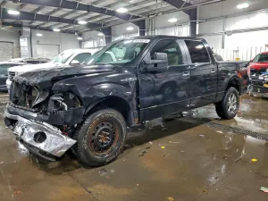 2010 FORD F-150