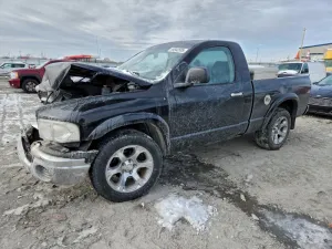 2002 DODGE All Models