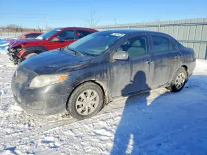 2010 TOYOTA COROLLA