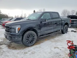 2025 FORD F150 LARIA