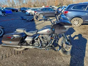 2025 HARLEY-DAVIDSON FLSE