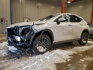 2024 LEXUS NX 350H BA