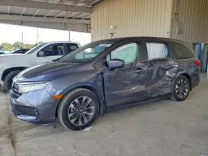 2024 HONDA All Models