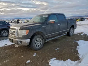 2011 FORD F-150
