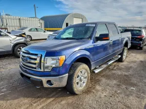 2009 FORD F-150