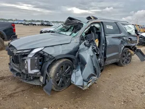 2024 HYUNDAI PALISADE X