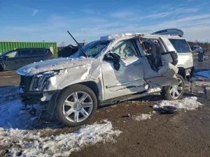 2020 CADILLAC ESCALADE