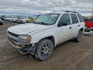 2006 CHEVROLET TRAILBLZR