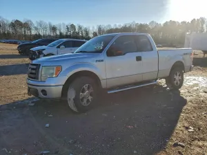 2010 FORD F-150