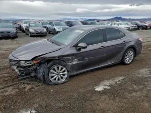 2019 TOYOTA CAMRY