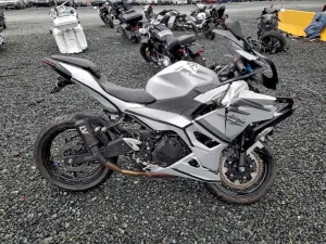 2024 KAWASAKI NINJA 500
