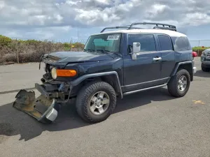 2010 TOYOTA FJ CRUISER