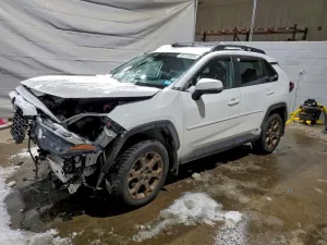 2023 TOYOTA RAV4 WOODL