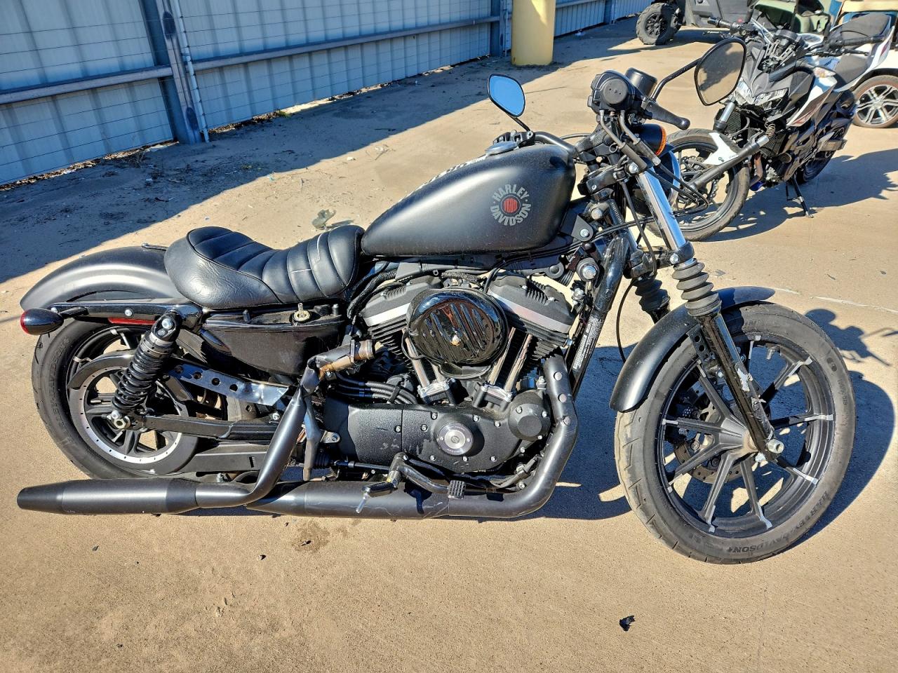 2021 HARLEY-DAVIDSON XL883 N