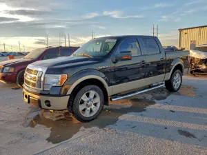 2010 FORD F-150