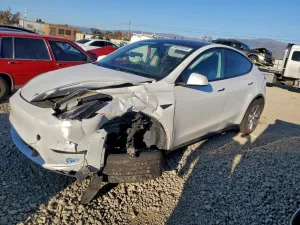 2021 TESLA MODEL Y