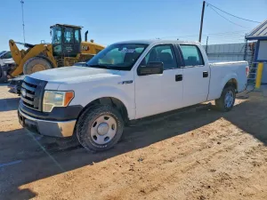 2009 FORD F150