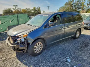 2010 HONDA All Models