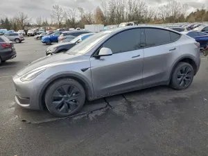 2025 TESLA MODEL Y