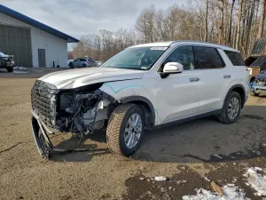 2023 HYUNDAI PALISADE