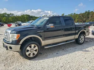 2010 FORD F-150