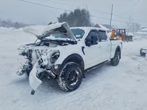 2024 FORD All Models