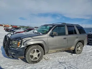 2008 CHEVROLET TRAILBLZR