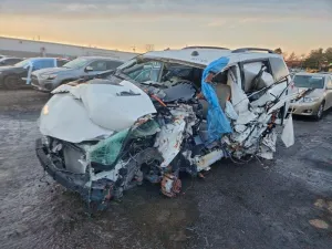 2019 TOYOTA All Models