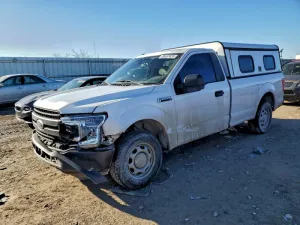 2019 FORD All Models