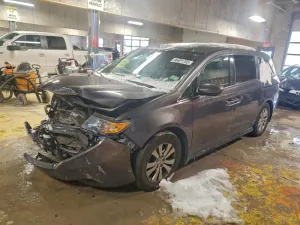 2016 HONDA All Models