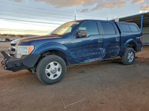 2013 FORD F-150