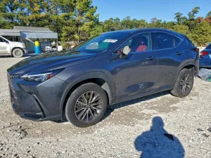 2022 LEXUS NX 350