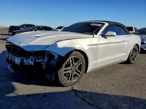 2019 FORD ALL Models