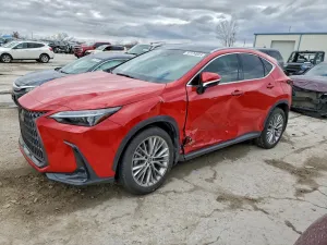 2024 LEXUS NX 350H BA