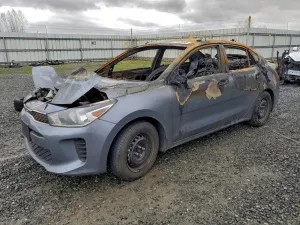 2019 KIA RIO