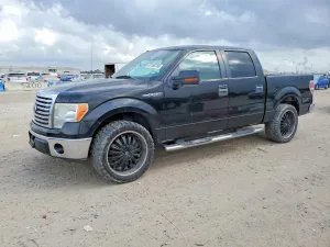 2010 FORD F-150