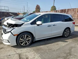 2023 HONDA ODYSSEY